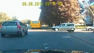 Собаки учат переходить дорогу - смотреть видео (3:15)