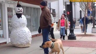 Снеговик пугает собак с их хозяевами - смотреть видео (2:33)