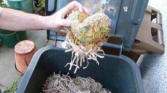 Живой клубок резинок - смотреть видео (1:31)