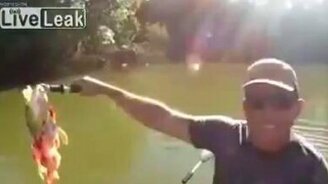 Молниеносные пираньи - смотреть видео (1:07)