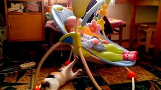 Кошка - няня - смотреть видео (0:32)