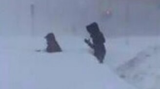 Пурга на Дальнем Востоке - смотреть видео (1:22)