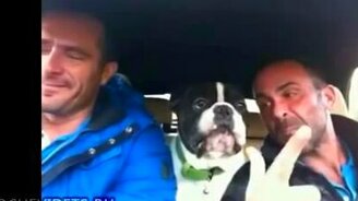 В хорошей компании и дорога коротка - смотреть видео (2:53)