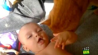 Милые и забавные дети и зверушки - смотреть видео (7:16)