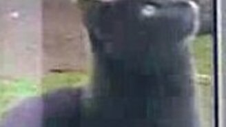 Сань, открой! - смотреть видео (1:03)