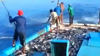 Удивительные моменты с рыбалки - смотреть видео (5:16)