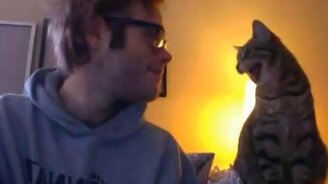 Реакция кота на глупенькую рожу хозяина - смотреть видео (0:11)