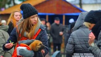 Не надо меня гладить! - смотреть видео (0:10)