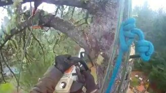 Арборист за работой - смотреть видео (5:45)