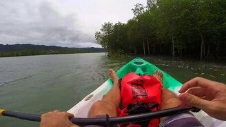 Турист против тайских обезьян - смотреть видео (1:48)