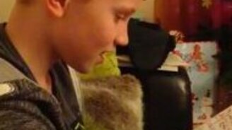 У тебя будет братик! - смотреть видео (1:14)