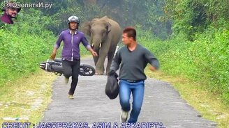 Без мотоцикла быстрее - смотреть видео (1:48)