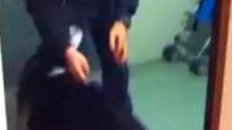 Лайка встречает хозяина - смотреть видео (0:30)