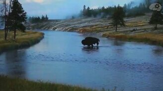 Как волки меняют реки - смотреть видео (4:38)