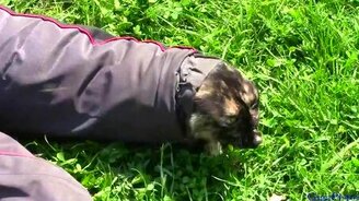 Побег из рукава - смотреть видео (0:58)