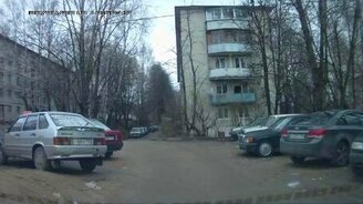 Голуби атаковали капот - смотреть видео (1:22)