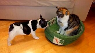 Ты занял моё место - смотреть видео (1:07)