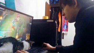 Когда кот мешает играть - смотреть видео (1:25)