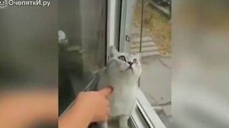 Видео смешилки - смотреть видео (5:10)