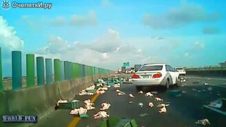 Видео смешнявки со всего света - смотреть видео (6:16)