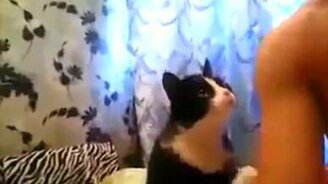 Гладь меня ещё! - смотреть видео (0:24)