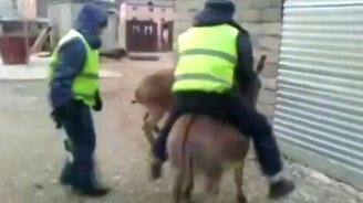 Дерзкое похищение ГАИшника - смотреть видео (0:18)