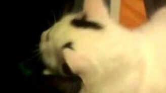 Хочу в сапог! - смотреть видео (4:04)