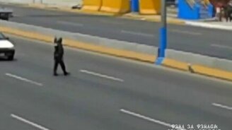 Полицейский спас собаку на магистрали - смотреть видео (0:36)