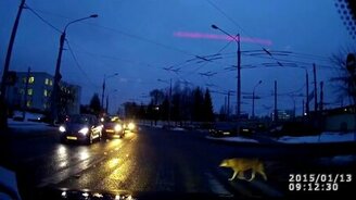 Примерные пешеходы - смотреть видео (0:22)