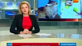 Кошка спасла младенца - смотреть видео (1:21)