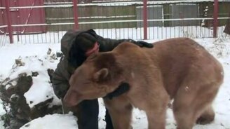 Домашний медведище - смотреть видео (3:21)