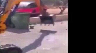 Пока начальник не видит - смотреть видео (0:49)