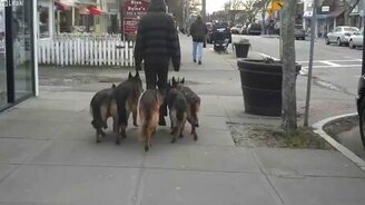 Истинное немецкое послушание - смотреть видео (5:07)