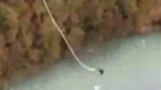 Смертельная тарзанка - смотреть видео (0:54)