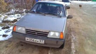 Собака-сигналяка - смотреть видео (0:21)