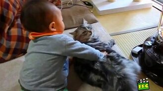 Терпеливые домашние звери - смотреть видео (5:36)