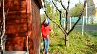 Сбор урожая - смотреть видео (2:26)