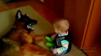 Не поделили косточку - смотреть видео (0:58)