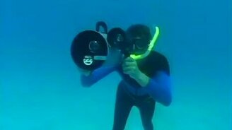 Дельфины отогнали акулу от дайвера - смотреть видео (1:05)