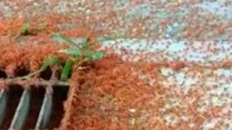 Красные атакуют! - смотреть видео (1:02)