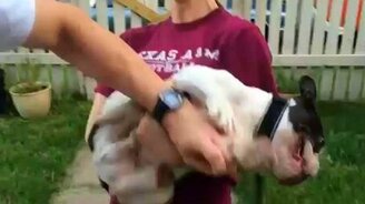 Не стригите мне когти! - смотреть видео (0:17)