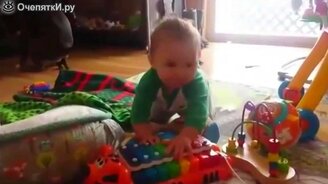 Питбуль передает привет папе - смотреть видео (0:11)