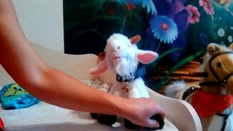 Подарок ребёнку на утреннике - смотреть видео (1:11)