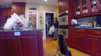 Сын пугает маму собакой - смотреть видео (0:50)