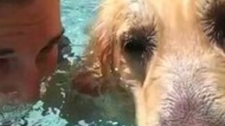 Собака-повторюшка - смотреть видео (0:17)