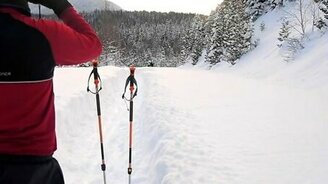 Лыжники встретили лося - смотреть видео (1:30)