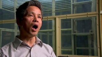 Как правильно здороваться с обезьяной - смотреть видео (0:09)