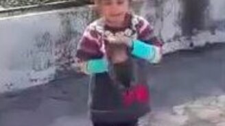 Девочка просит оставить котят - смотреть видео (1:27)