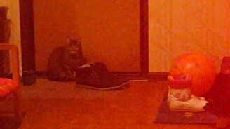 Моргни дальним! - смотреть видео (0:05)