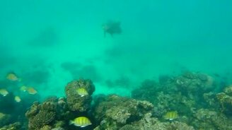 Крушение самолёта от первого лица - смотреть видео (6:43)